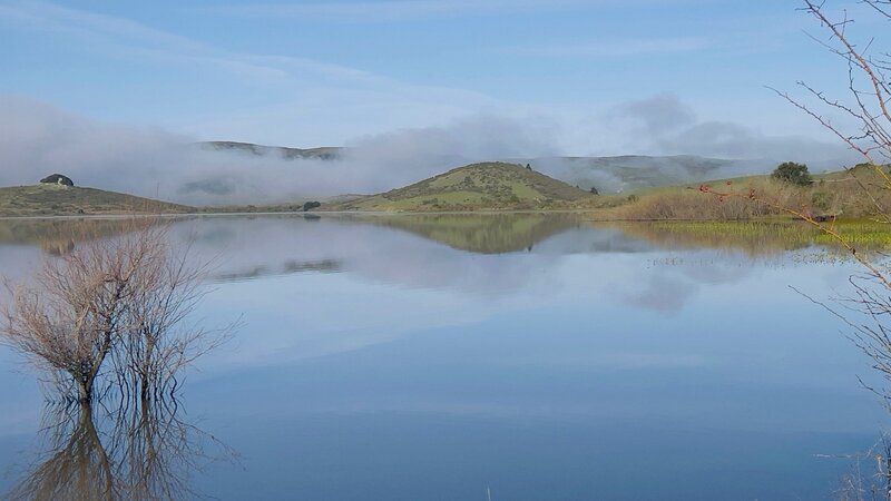 Nicasio Reservoir
