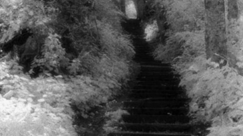 No Point Trail
