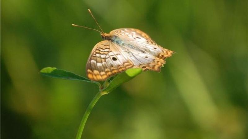 "On Top of the World" - Standing Still