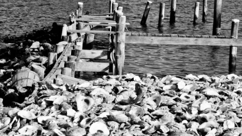 Oyster Dock