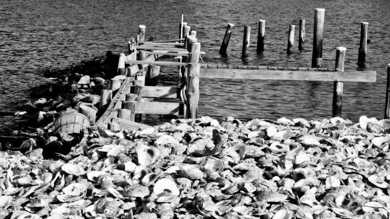 Oyster Dock