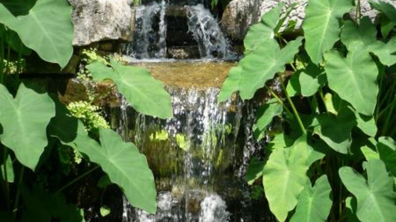 Waterfall - Fort Worth Botanical Garden
