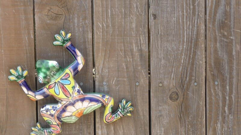 Froggy Fence