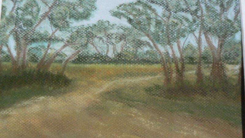 Beach Plum Farm