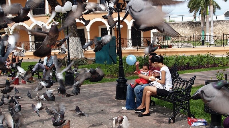 In Flight