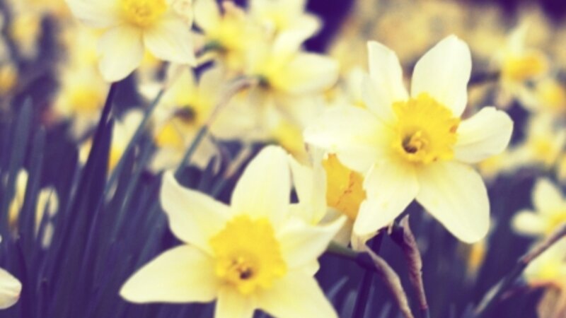 Only boy in the world 