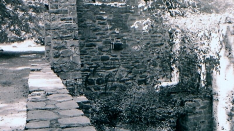 Foliage Framed Factory