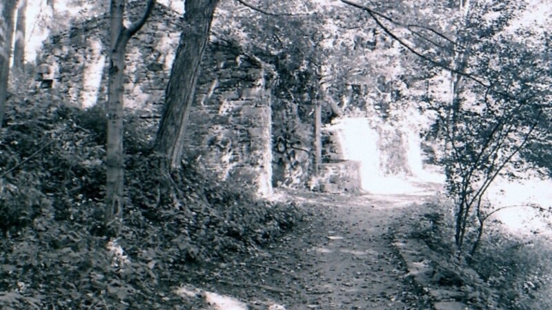 Path to the Powder Mill