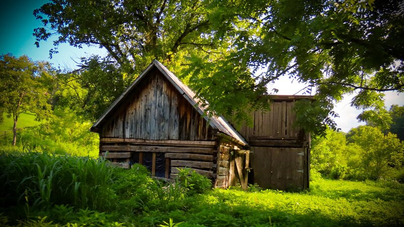 An old barn sits road side in Cosby, Tennessee surrounded by over grown brush and grass 