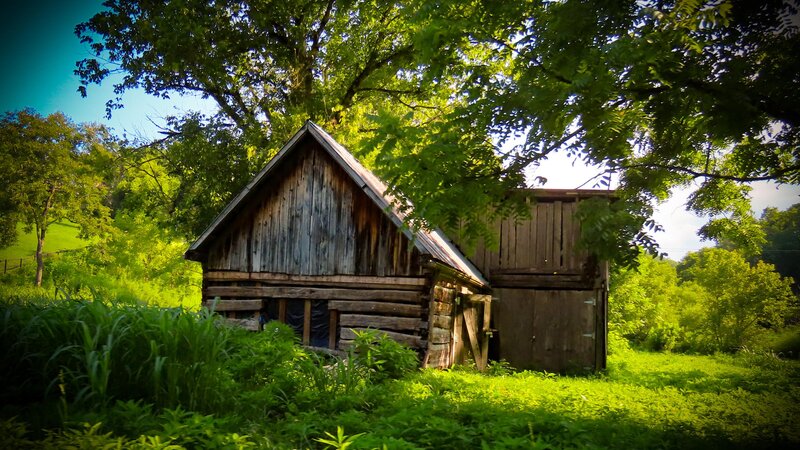 An old barn sits road side in Cosby, Tennessee surrounded by over grown brush and grass 