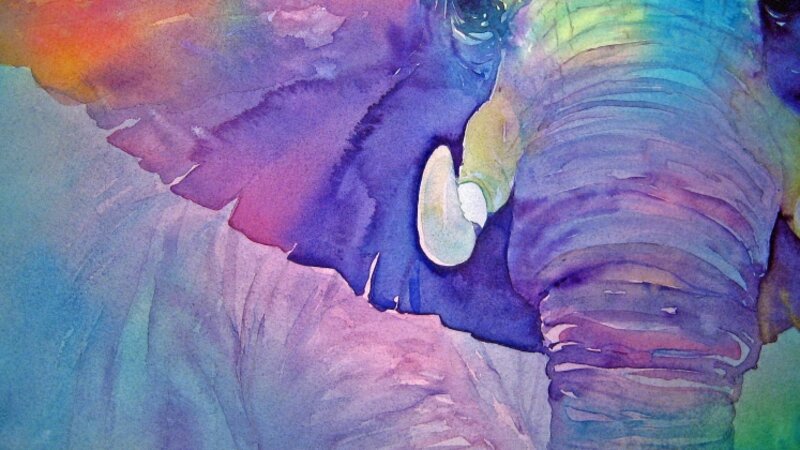 Papa Elephant II