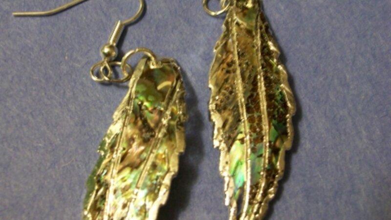Paua (abalone) shell feather shaped earrings