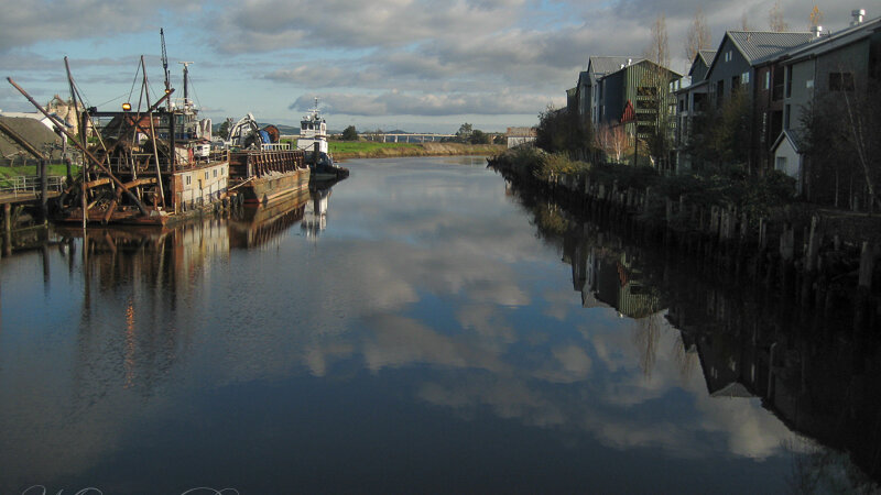 Petaluma River Reflections