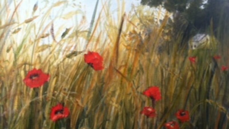 Tuscany Field of Poppies