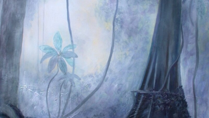 Rainforest Papua New Guinea