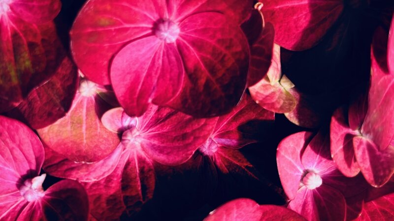 "RED!" 