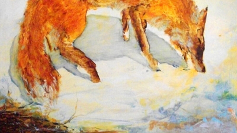 A White Lake, A Hungry Fox