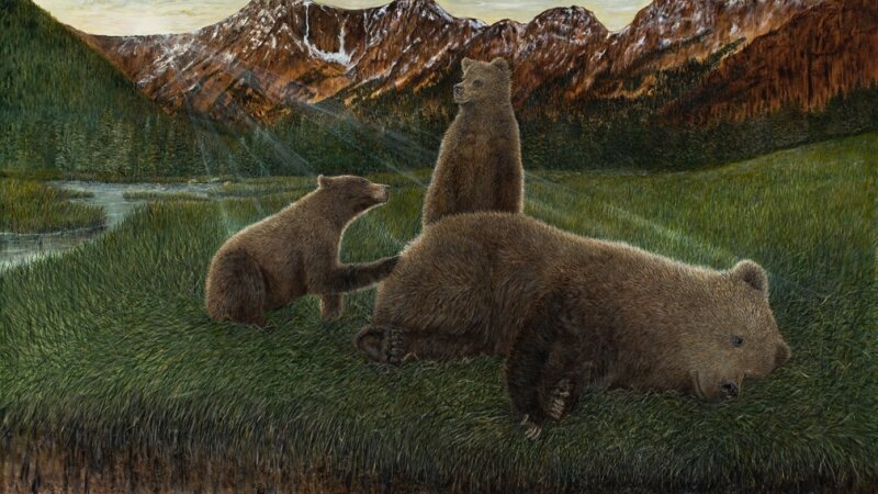 Grizzlies, Cubs, Bears 