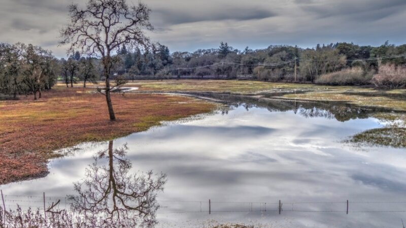 Season of Reflection