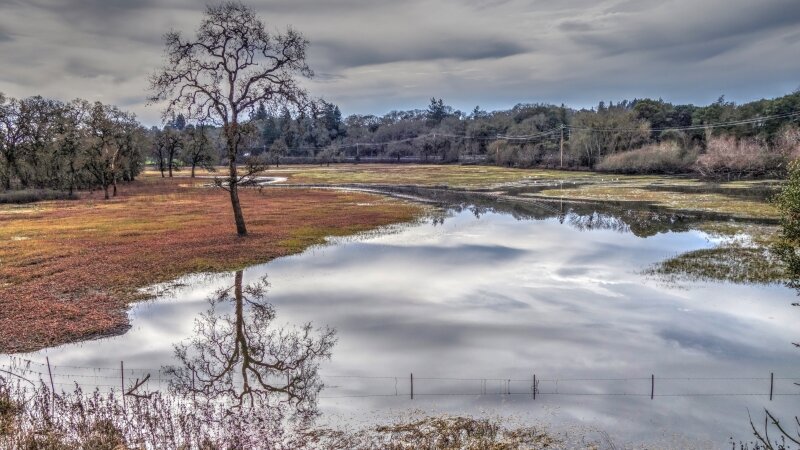 Season of Reflection