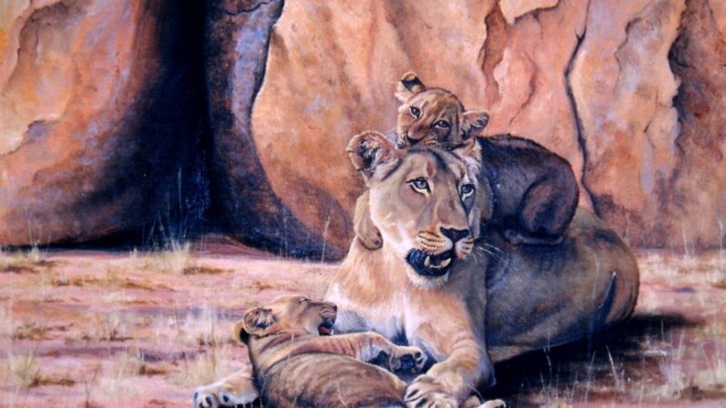 Lion mother and cubs