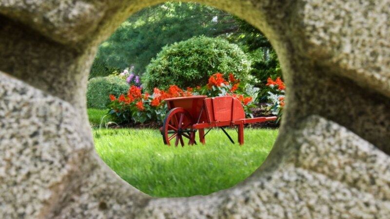 Rock View