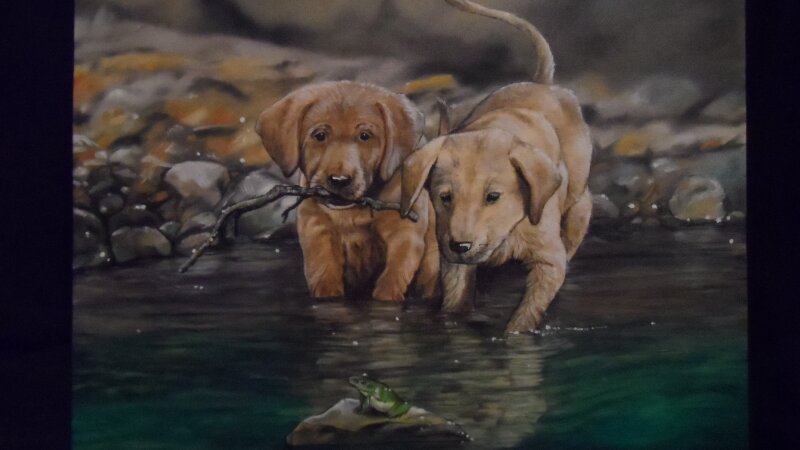 Playful Pups