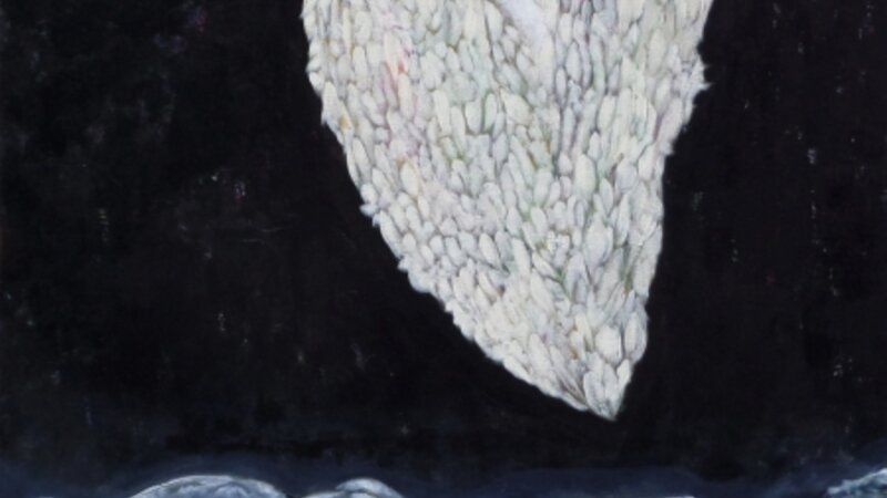 Unidentified Flying Object