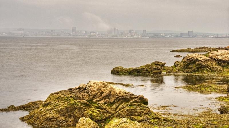 New Haven Skyline in the Fog