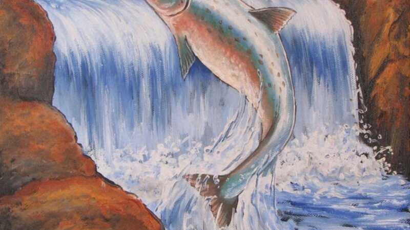 Salmon