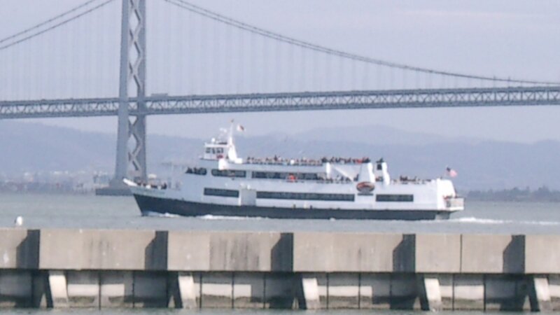 THE BAY