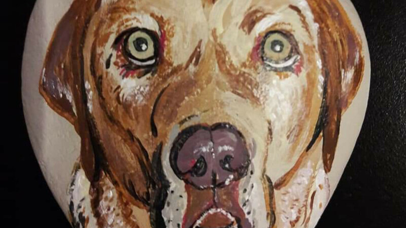 Brown dog with green eyes portrait on rock.