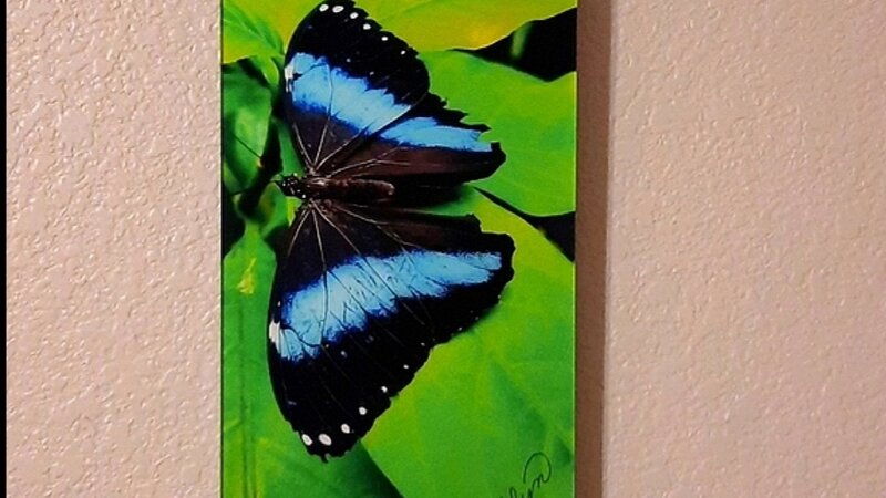 This photo was taken by myself and done in "Trulife" format. 