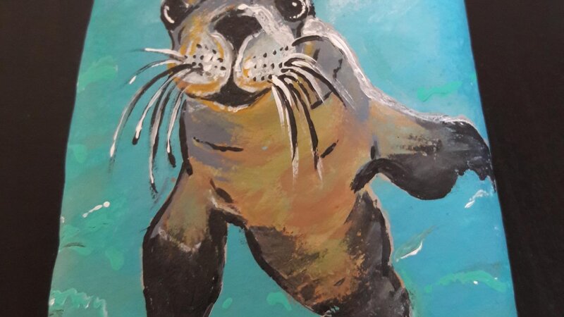 Sea Lion looking directly at me. Painting on rock.