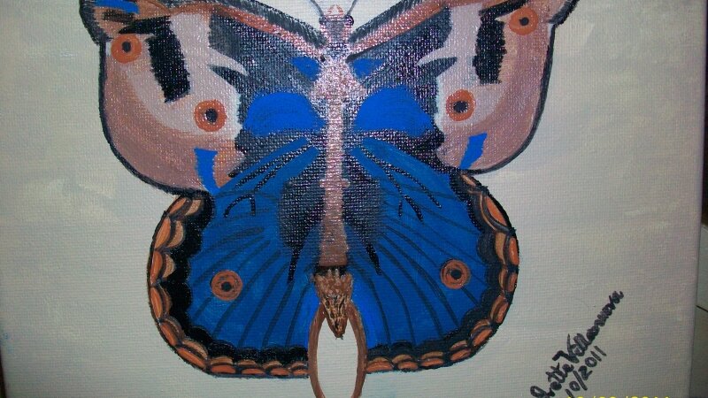 Beautiful Butterfly!