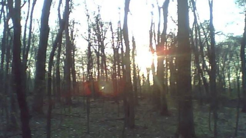Shine on Through