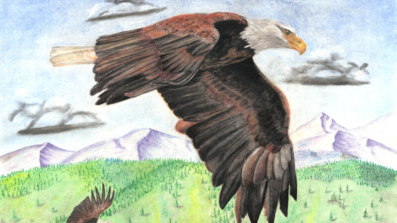 Soaring with Eagles