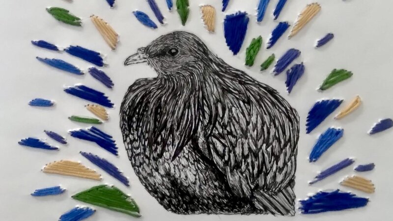 Nicobar pigeon with text that says Blues and reds and greens, they are all looking at me, can't help being pretty