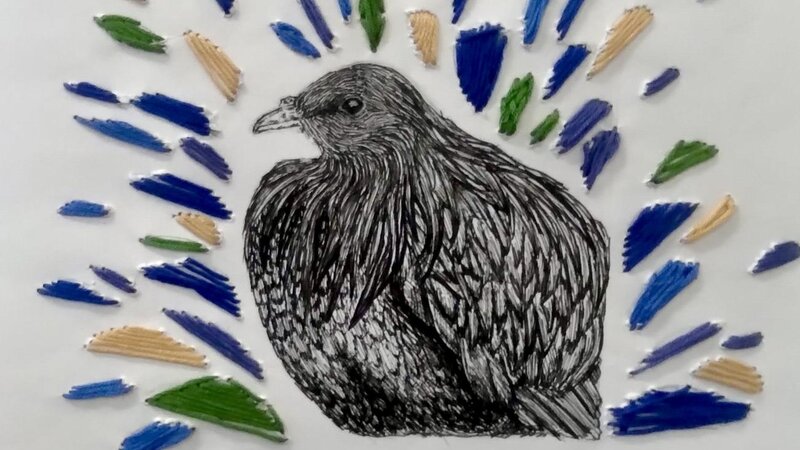 Nicobar pigeon with text that says Blues and reds and greens, they are all looking at me, can't help being pretty