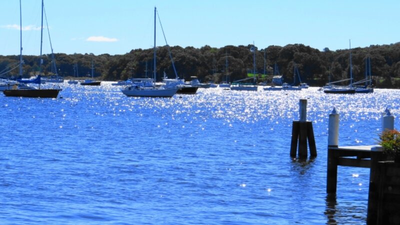 Sparkling Harbor