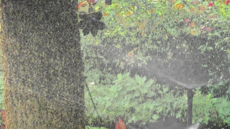 Sprinkler System Showing Off