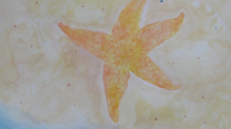 Starfish