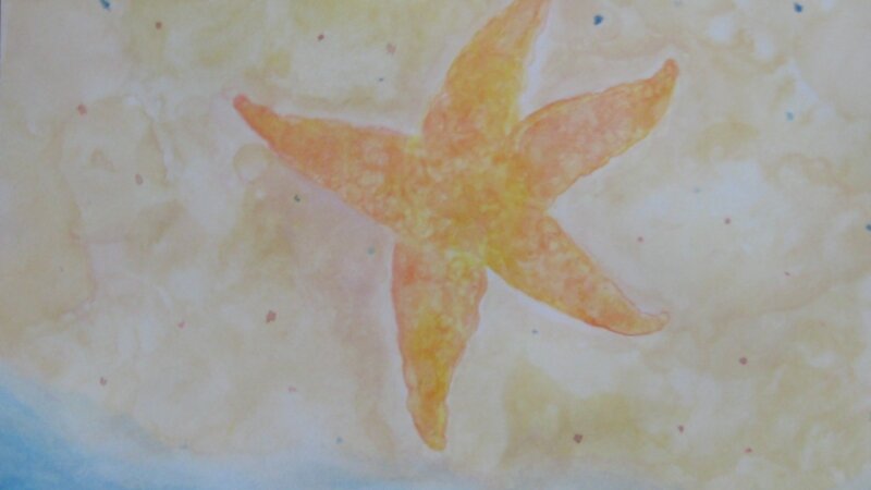 Starfish