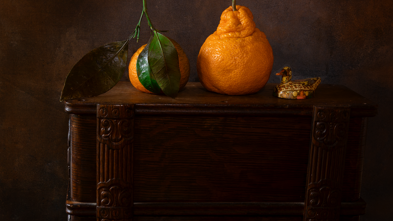 Still life image showing 2 mandarin oranges and a papier mache duck on top of a piece of furniture.