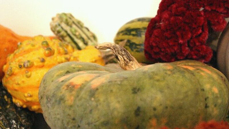 Still Life