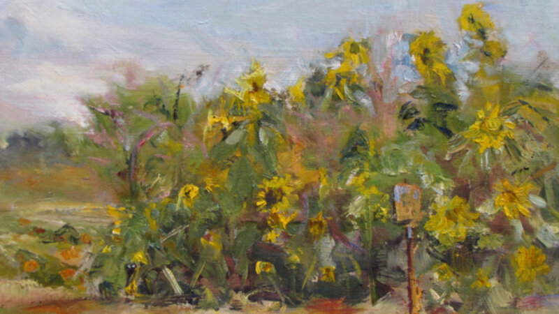 Sunflowers