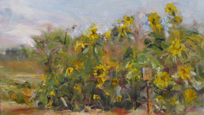 Sunflowers