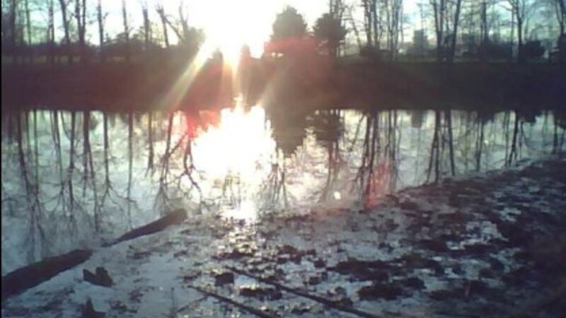 Reflections of Light