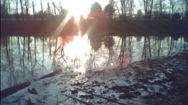 Reflections of Light