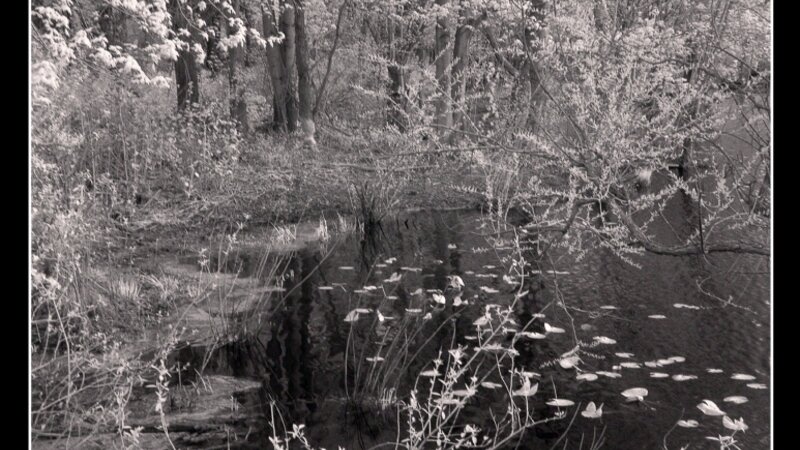 The creek on Paulsboro-Swedesboro Road 2